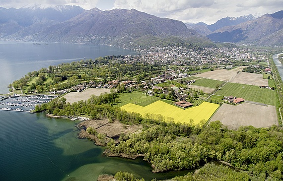 Der Gutsbetrieb Terreni alla Maggia ist riesig. Er gehört derselben Besitzerfamilie wie das Hotel Castello del Sole. So kann Chefkoch Mattias Roock sogar Risottoreis aus dem Hotelgarten beziehen. (Bilder ZVG) Der Gutsbetrieb Terreni alla Maggia ist riesig. Er gehört derselben Besitzerfamilie wie das Hotel Castello del Sole. So kann Chefkoch Mattias Roock sogar Risottoreis aus dem Hotelgarten beziehen. (Bilder ZVG)
