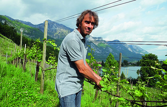 Die Seemühle in Walenstadt ist Marco Casanovas liebster Rebberg. (Bild ZVG) Die Seemühle in Walenstadt ist Marco Casanovas liebster Rebberg. (Bild ZVG)